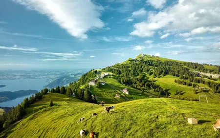 Zurich: Small group to Rigi Queen of Mountains and Lucerne Trip