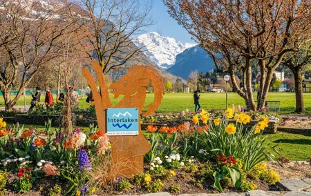 Zurich: Private Day Trip to Lucerne and Interlaken