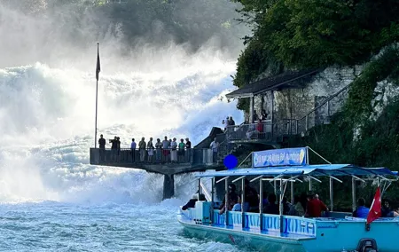 Private Half-Day Tour to the Rhine Falls with Pick-up at Hotel