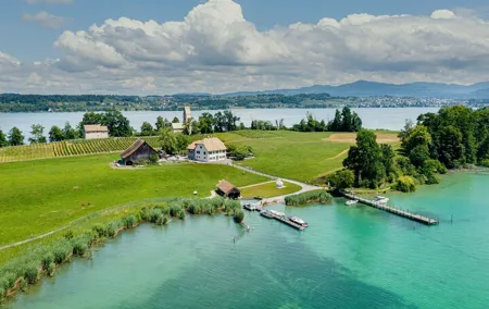 Zurich to Rapperswil Roses & Ufnau Island: City to Lake Escape