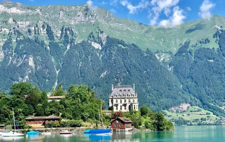 Swiss Alps panorama Tour with private guide from Zurich