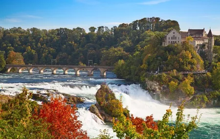 Rhine Falls and Stein am Rhein (Private Tour)