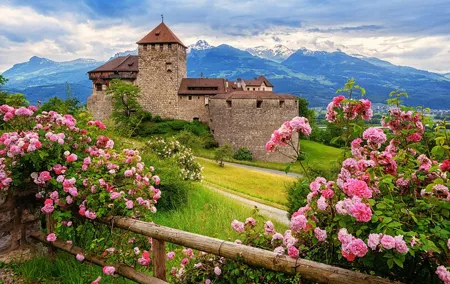 Private Trip from Zurich to Vaduz in Liechtenstein & Swiss Heidiland