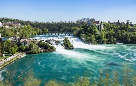 Rhinefalls (Private Tour)