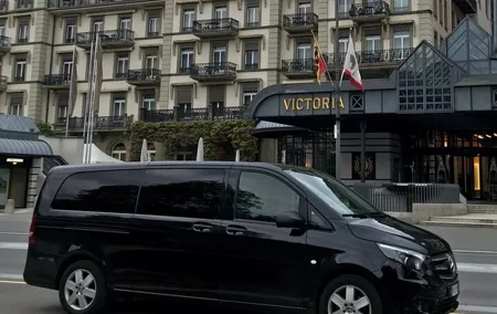 10-Hours Customized Private Tour by Car from Zurich or Lucerne