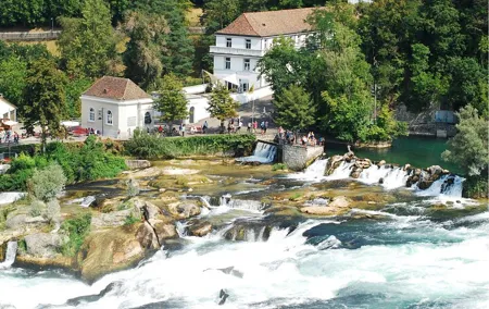 Zürich: Private Car Tour to Rhine Falls, Titisee and Black Forest