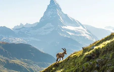 Private Tour to Zermatt from Zurich.