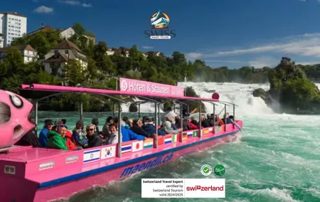 Rhine Falls & Stein am Rhein Private Day Trip