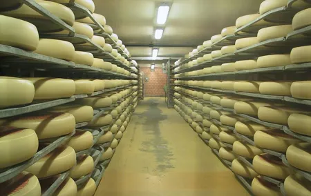 Private Trip Half Day Tour to Cheese Factory Emmentaler from Zurich