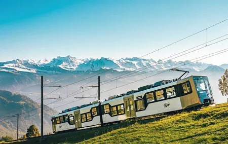 Mount Rigi & Lucerne with Cruise Private Day Trip