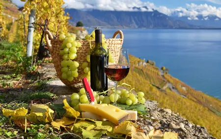 Cheese Chocolate and Wine PrivateTour