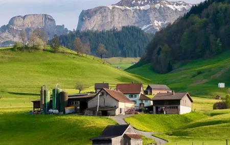 Appenzell Cow milking experience from Zurich with alpine scenery