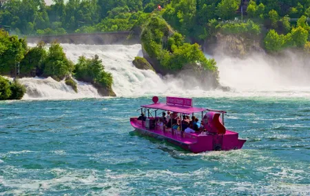 Rhine Falls private day tour from Zurich
