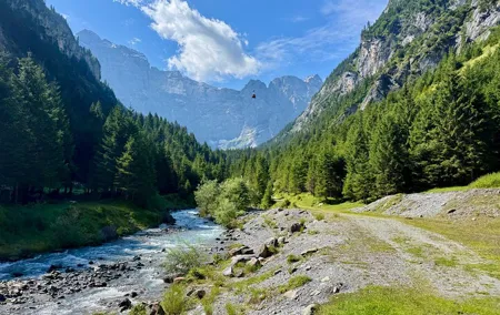 Alpine Food Tour Swiss delicacies with a view