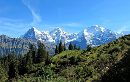 Private Swiss Alps Tour Interlaken Lauterbrunnen and Grindelwald