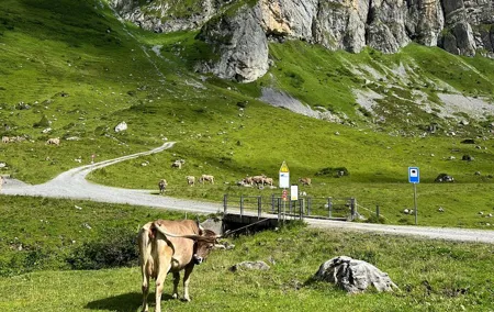 Private Hidden Switzerland Day Tour with Local Guide
