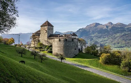 Cheese, Wine and chocolate Swiss taste Adventure Private Tour