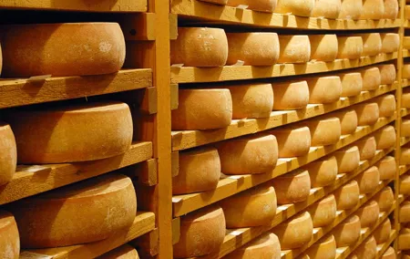 Cheesemaking and Mount Titlis in the heart of the Alps (Private Tour)