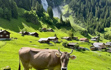 Swiss Alps and Waterfalls Private Tour from Zurich