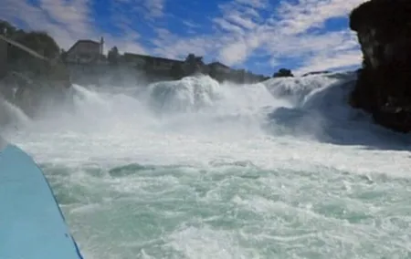 Rhine Falls and Black Forest Germany Sightseeing Tour Private