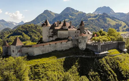 11 Hours Private Tour from Zurich to Gruyeres Medieval Village