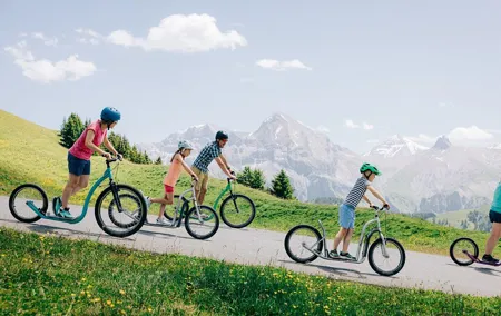 Alpine Family Fun Hike and Bike Trip in Adelboden from Zurich