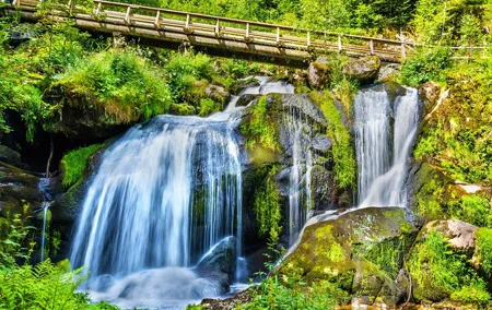 Zurich Black Forest Private Tour