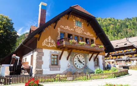 The Best of Nature Rhine Falls Black Forest Private Experience
