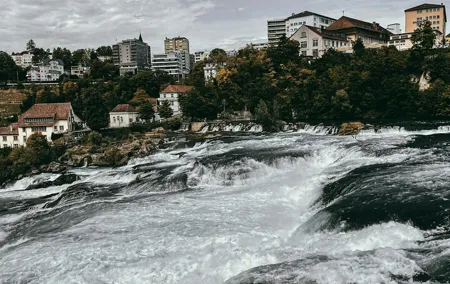Rhine Falls and Stein Am Rhein 6 Hour Tour from Zurich