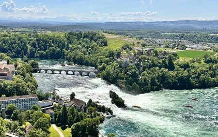 Rhine Falls and Stein am Rhein Private Half-Day Tour with Pick-up