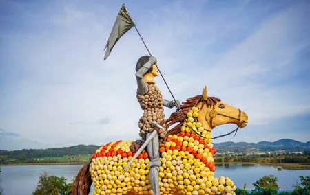 Zurich Nearby Farm Experience