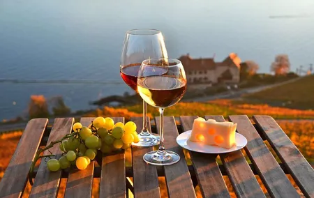 Lausanne Culinary Boat Trip & Vineyard Visit from Zurich
