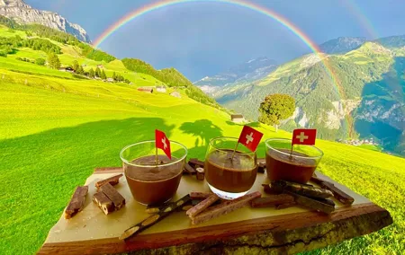Flavours of Switzerland Luxury Private Tour from Zurich & Lucerne