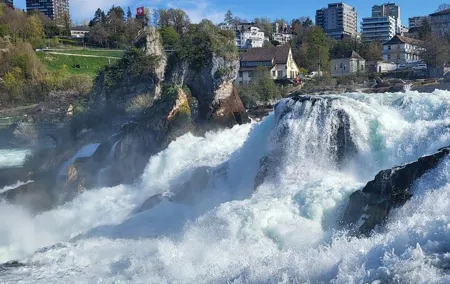 Rhine Falls & Stein am Rhein Private Tour