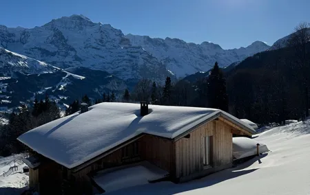 Full Day Luxury Private Tour in Swiss ALPS