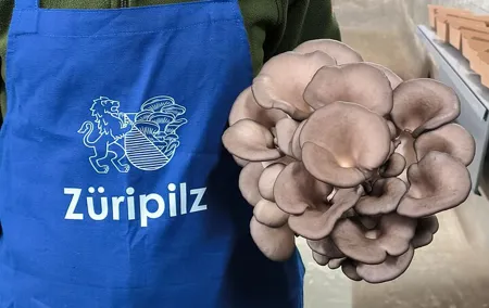 Discover the World of Mushrooms