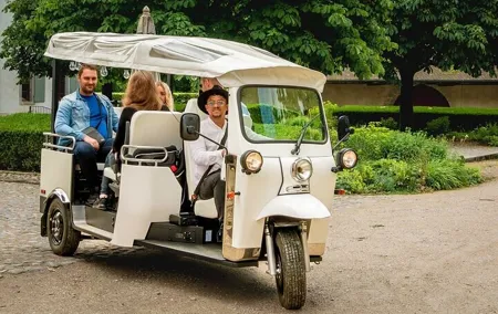 Geneva: Sightseeing of top Places Tour Electric TukTuk 1H15 tour