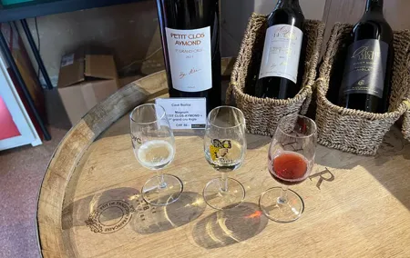 Visit DEs Vineyards of Lavaux and Wine Museum at the Château d'Aigle