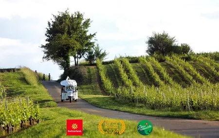 Geneva Panoramic & Tasting Vineyards Tour in an Tuk Tuk