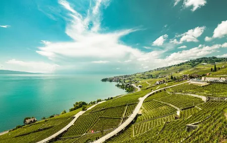 Vevey, Montreux, Chillon Day Trip from Geneva