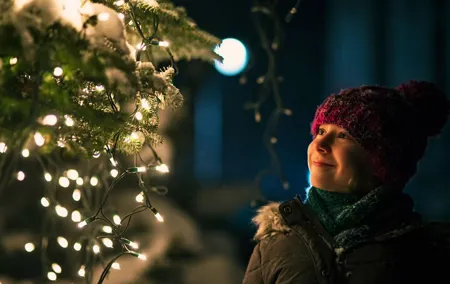 Geneva’s Winter Wonderland: A Festive Christmas Private Tour