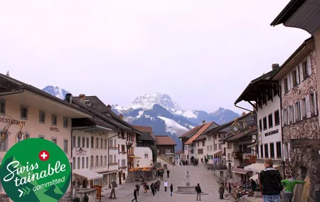 Gruyere Village Historic Full Day Tour