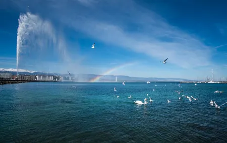 Private Tour : The best of Geneva city tour