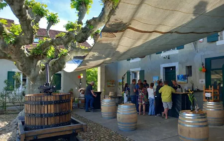 3 Hour Private Tour Countryside Vineyards with Local Wine Tasting