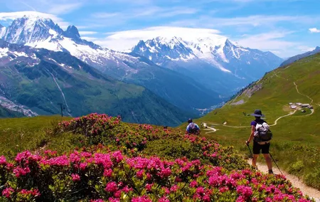 Chamonix Mont Blanc Hiking Adventure with Aiguille du Midi Option
