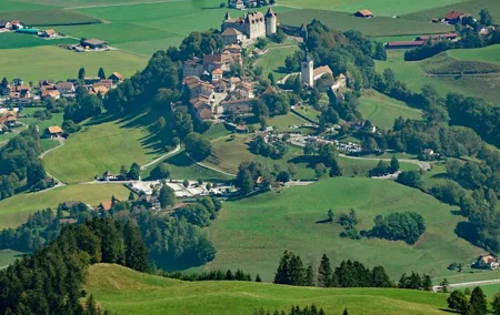 Full-Day Private Tour to Gruyères from Geneva