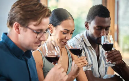 Private Wine and Cheese Tasting Session in Geneva