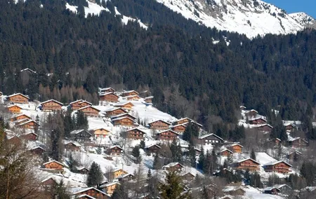 Private Tour to Les Diablerets and Montreux
