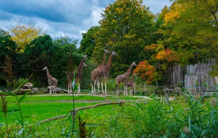 Zoo Leipzig Entry Ticket