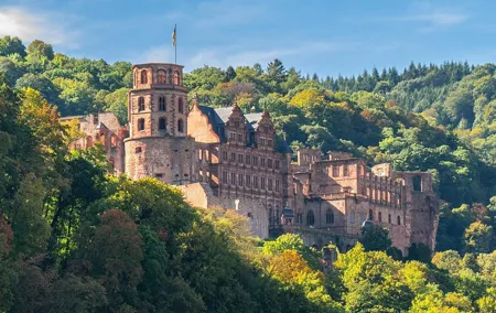 Heidelberg Private Walking Tour with a Local